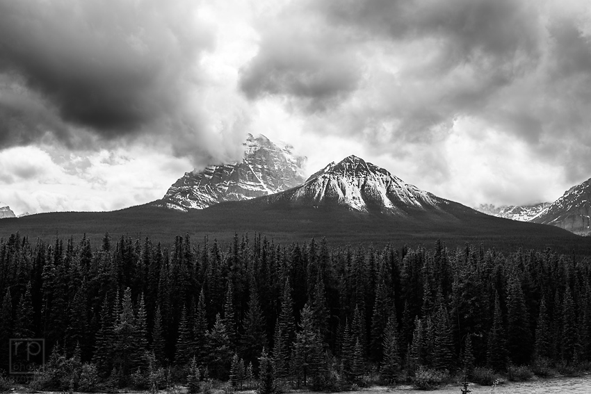 BC Alberta 0197 BW