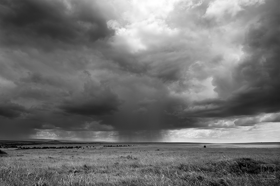 Africa D200 0351(BW FA)