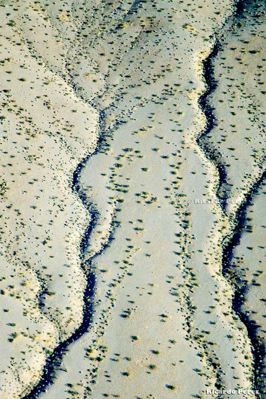 PN-USA 1105 fotonatura