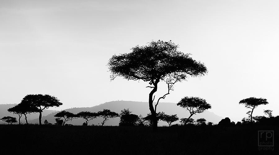Africa D7000 2391(BW)